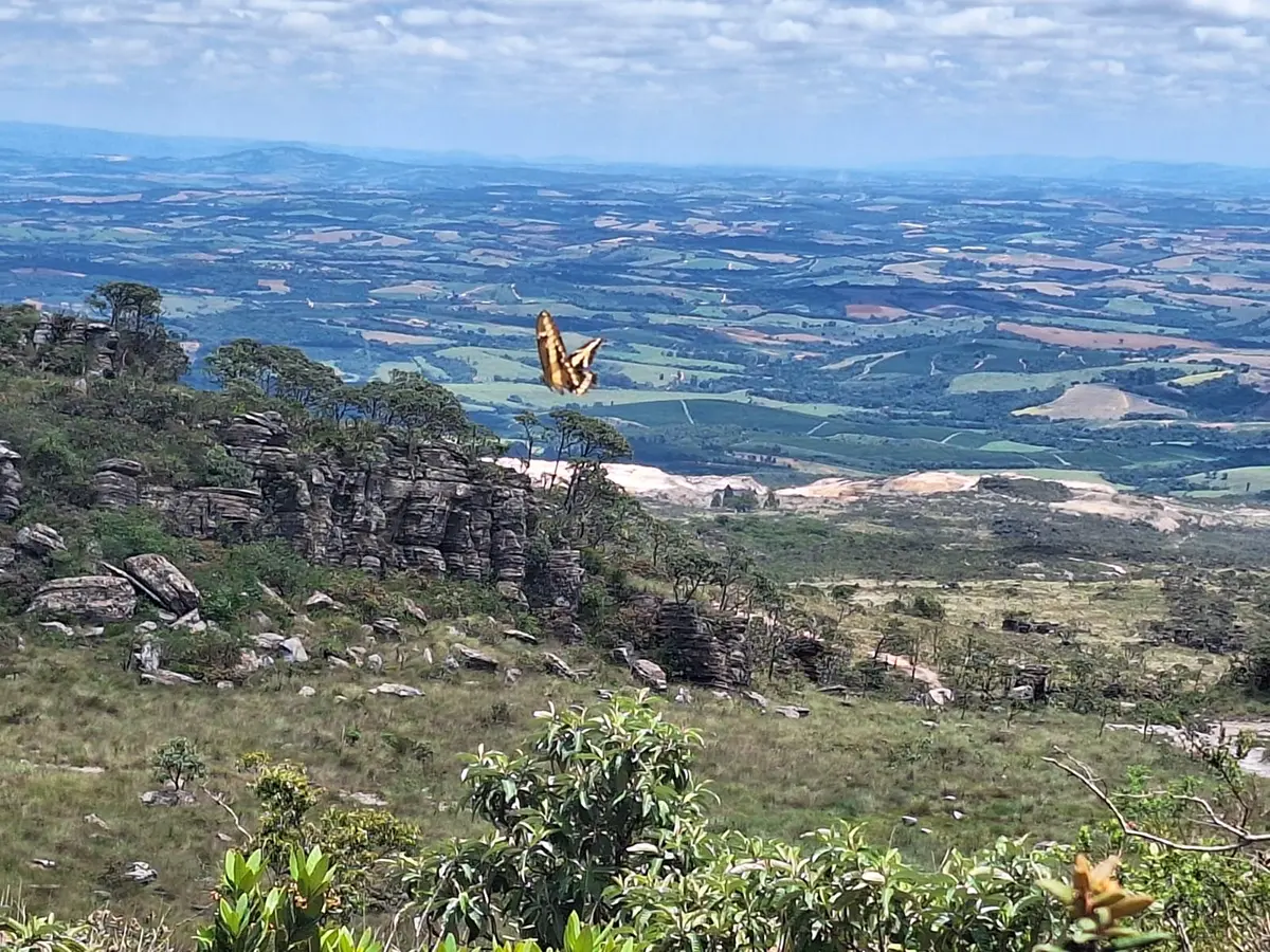 Pico do Gavião